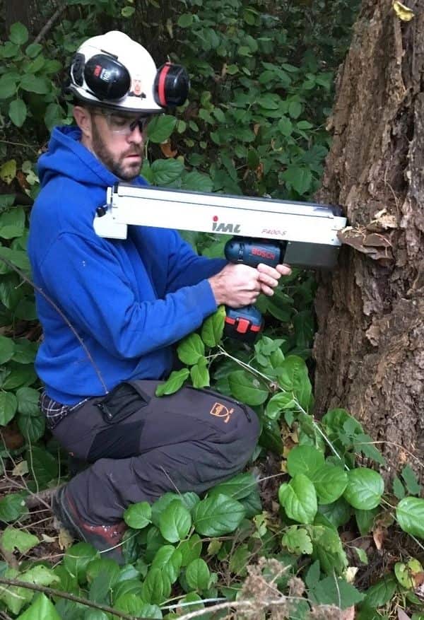 Chris Rippey performing advanced tree assessment work