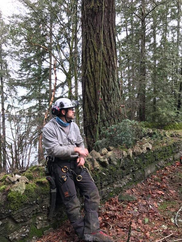 Arborist work documentation and tree diagnostics across Missouri and the Pacific Northwest